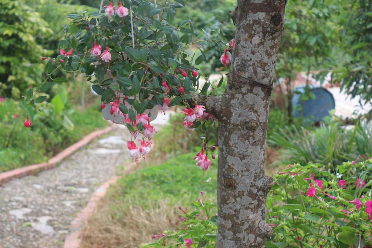 Thang Nam Ruc Ro - Dalat Homestay Екстериор снимка