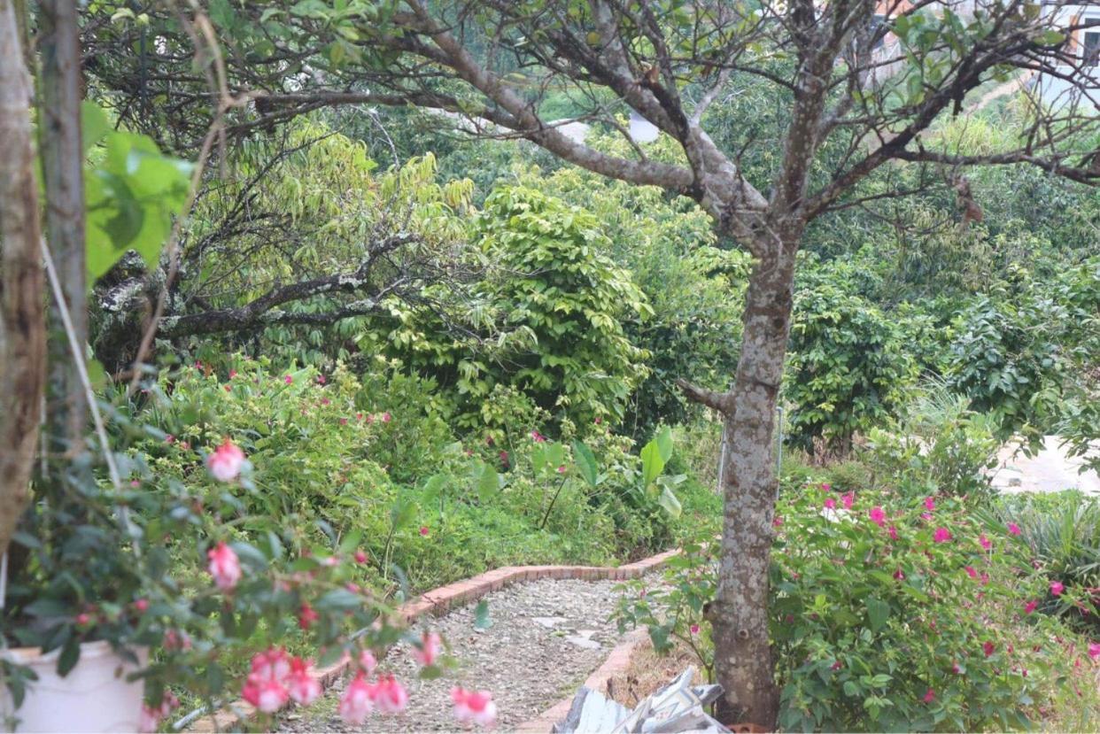 Thang Nam Ruc Ro - Dalat Homestay Екстериор снимка